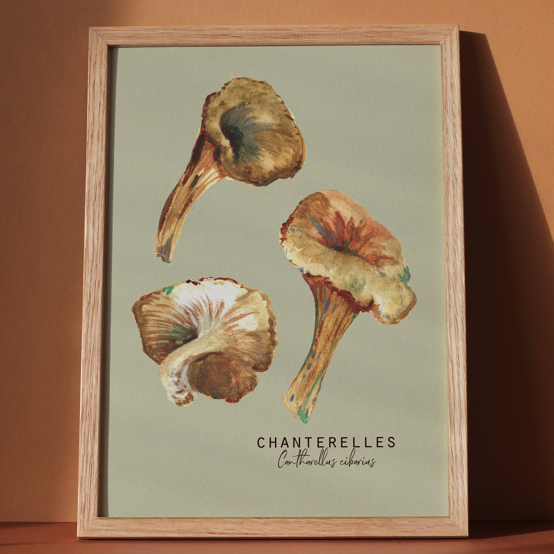 A botanical illustration featuring chanterelle mushrooms painted from varying angles against a soft green background.