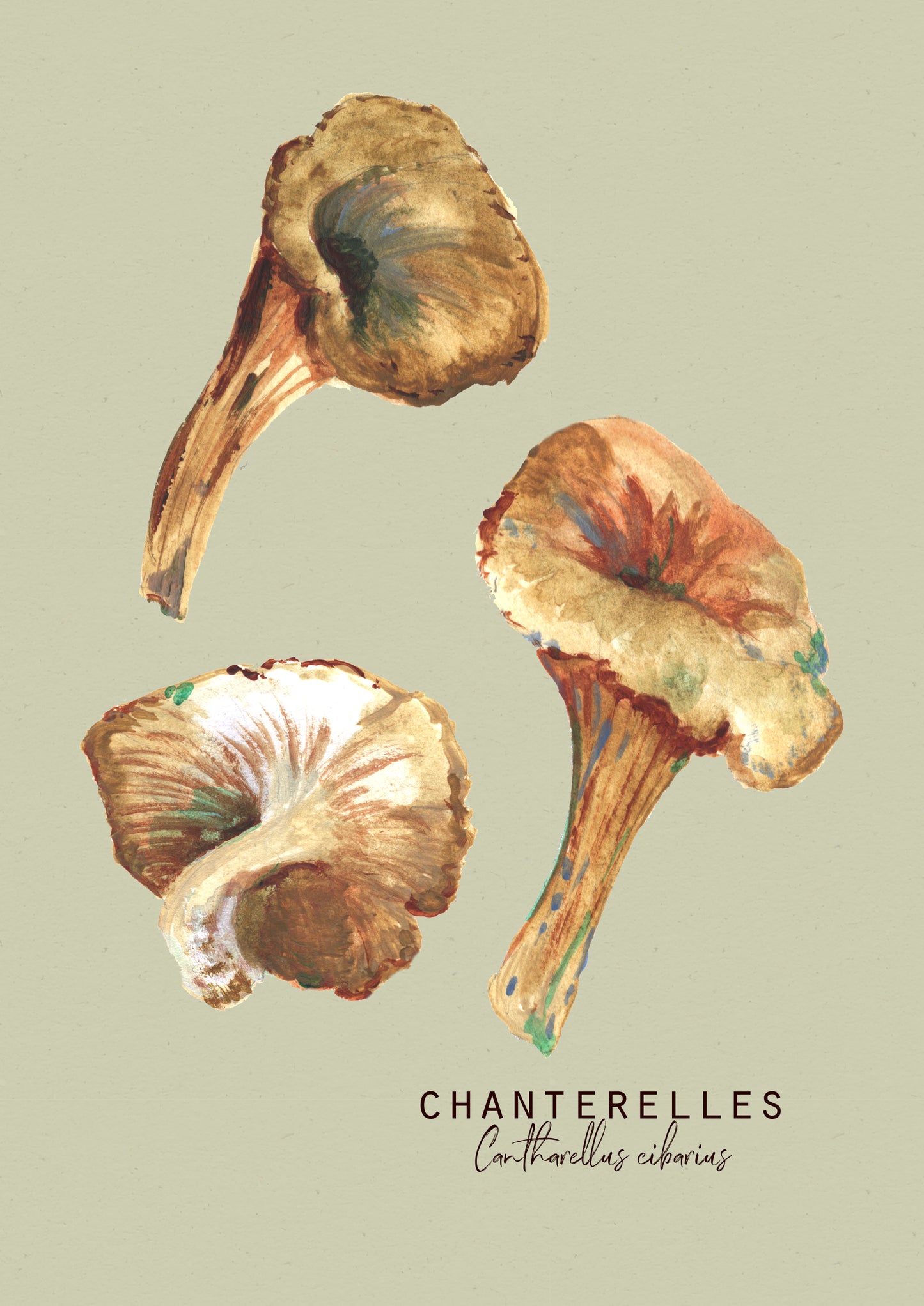 Chantarelle mushroom art print