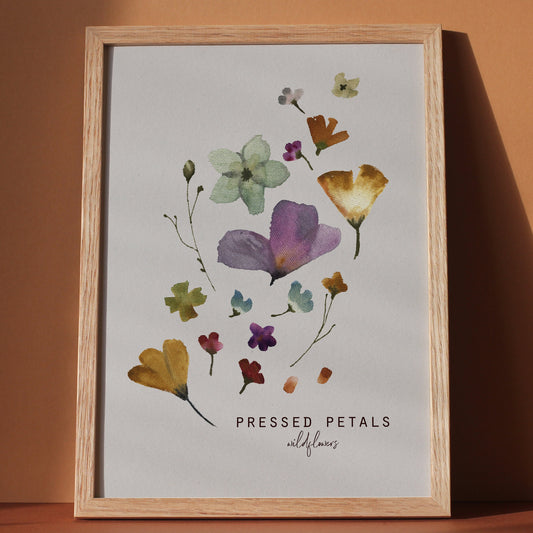 Pressed wildflower botanical art print