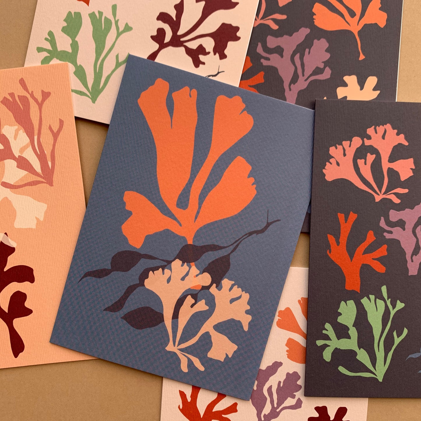 set of 6 sea coral botanical notecards