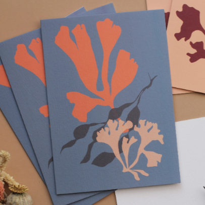 coral collage set of notecards