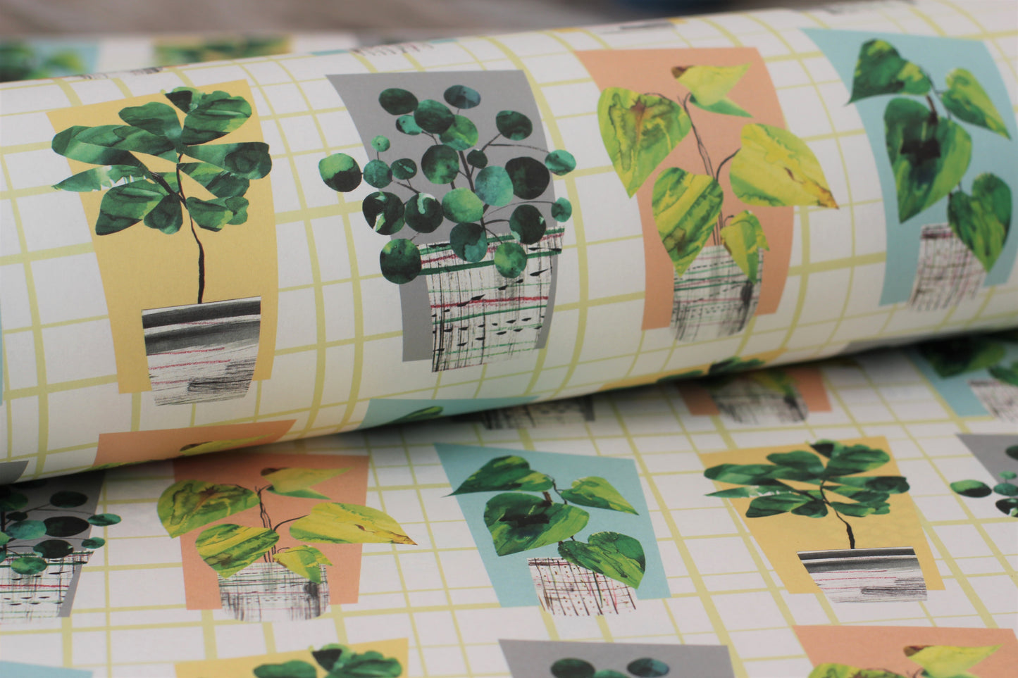 houseplant wrapping paper