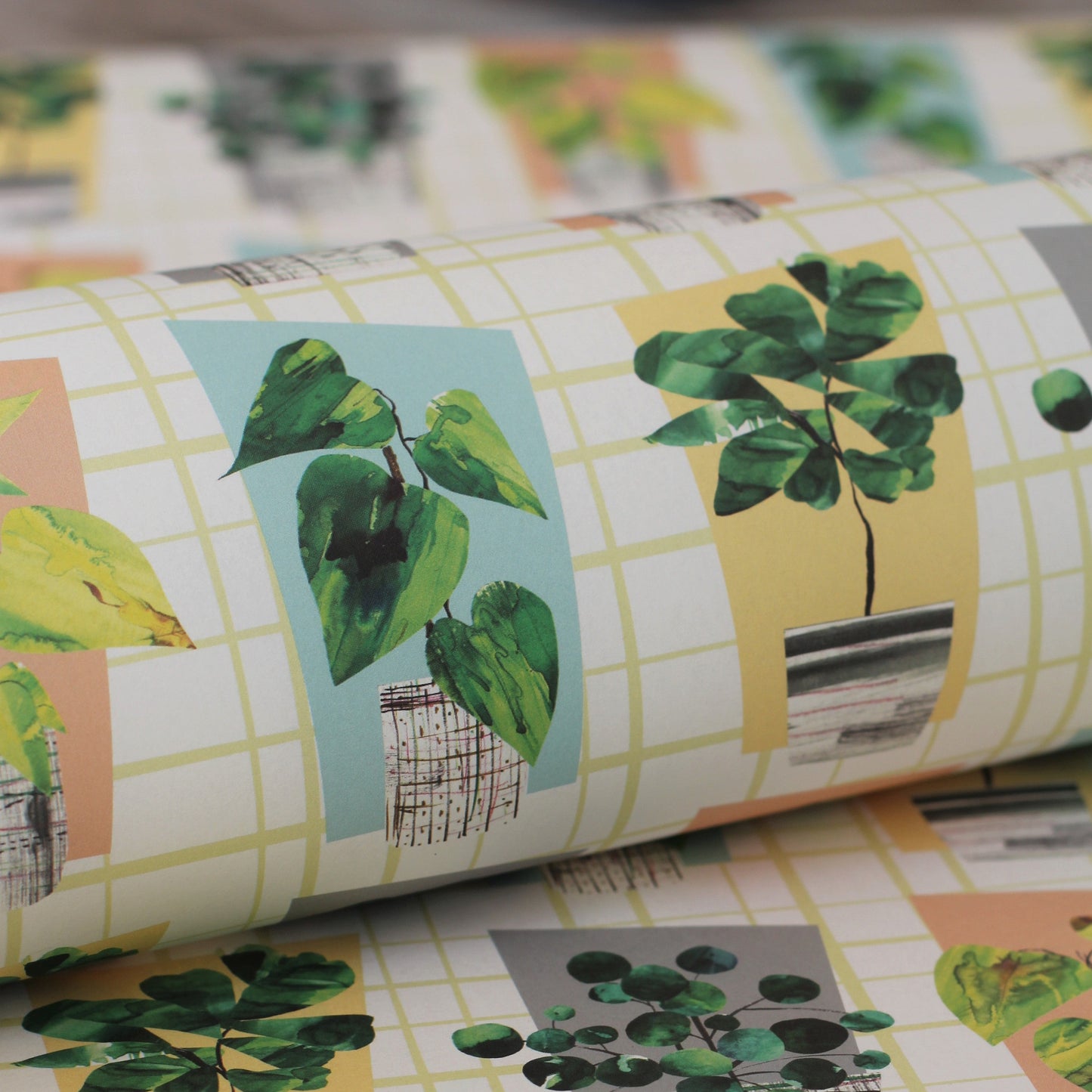 houseplant wrapping paper